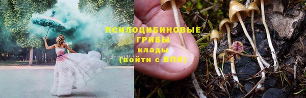 СК Новокубанск